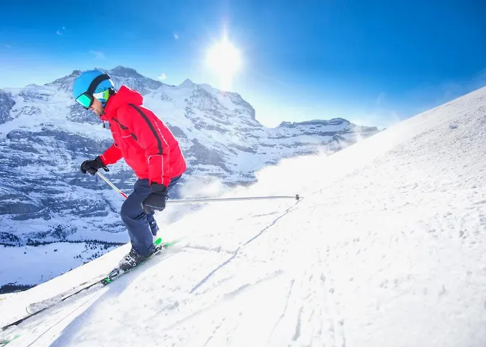 Allod Park Haus C 205 By Interhome Apartamento Davos