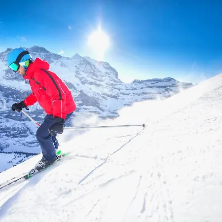 Allod Park Haus C 205 By Interhome Apartment Davos